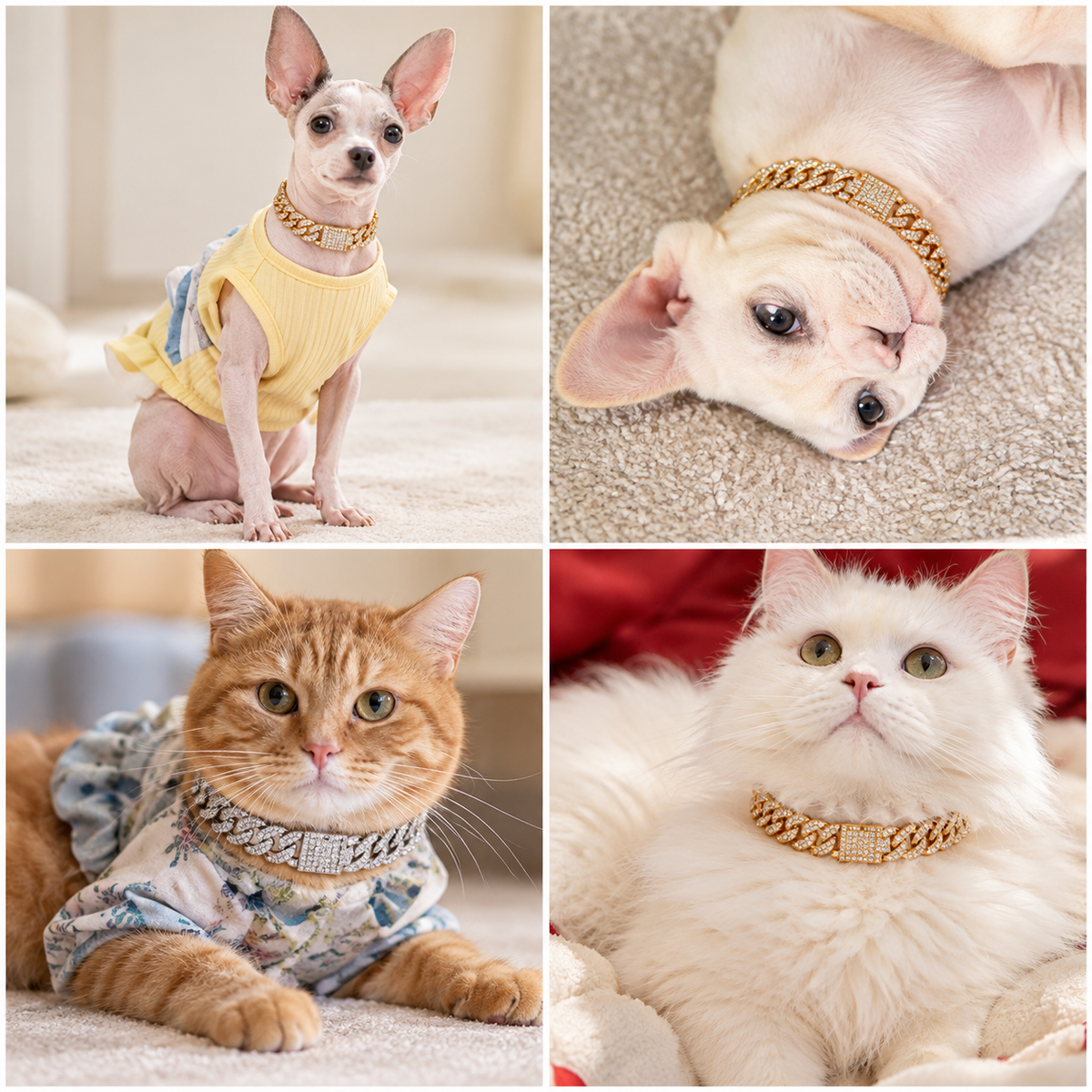 Rhinestone Necklace 犬・猫用