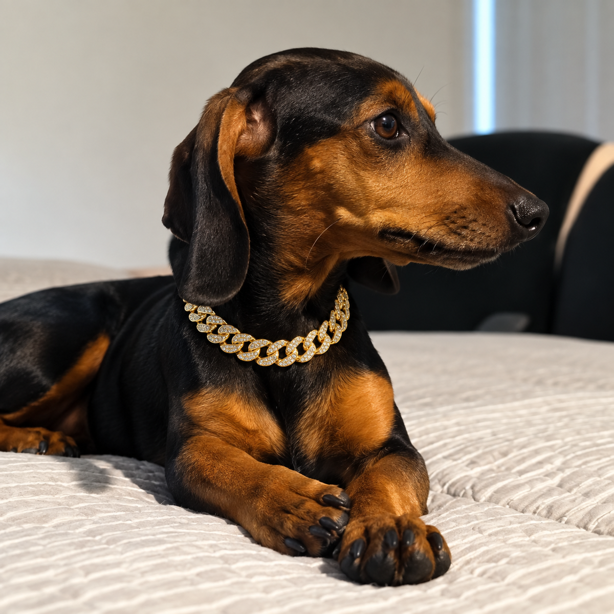Rhinestone Necklace 犬・猫用