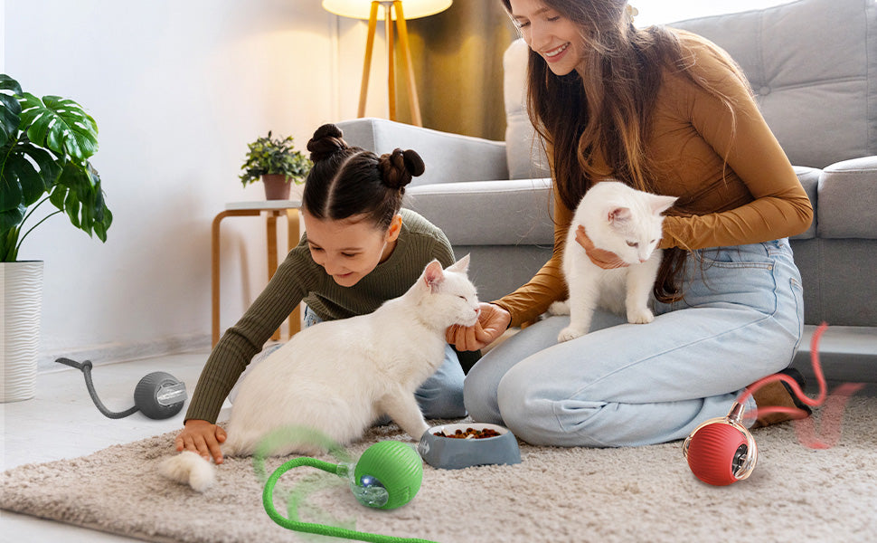 PetTrek Spinner™ – スマートなペット用おもち