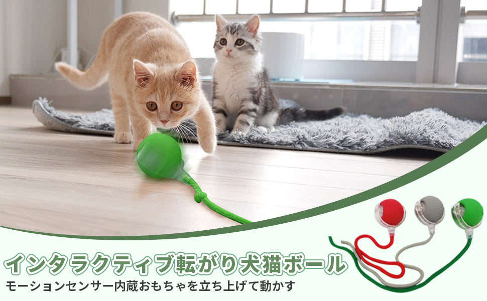 PetTrek Spinner™ – スマートなペット用おもち