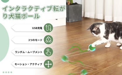 PetTrek Spinner™ – スマートなペット用おもち