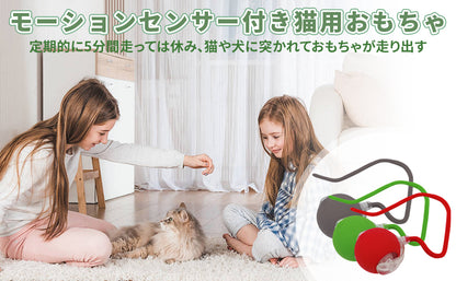 PetTrek Spinner™ – スマートなペット用おもち